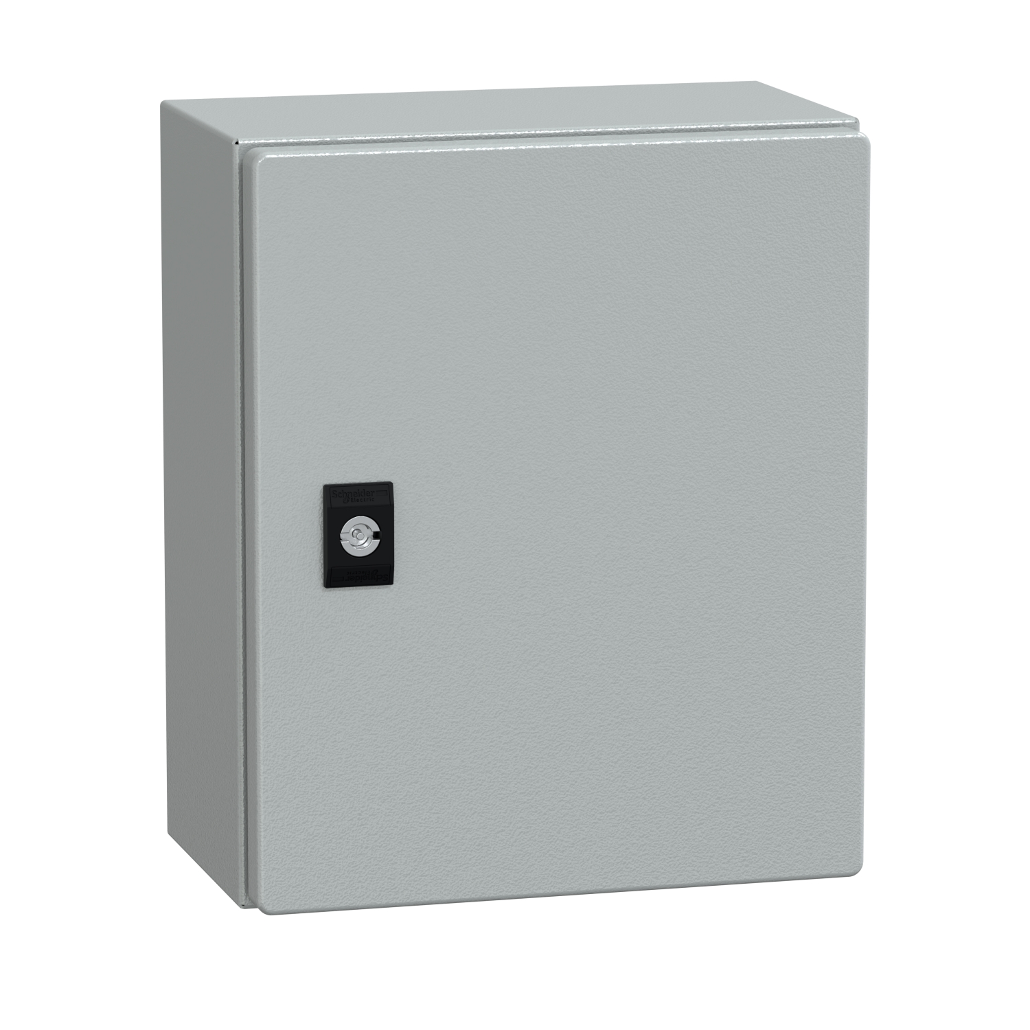 NSYCRN325150 | Spacial CRN plain door w/o mount.plate. H300xW250xD150 IP66 IK10 RAL7035.. 6 NSYCRN325150.jpg