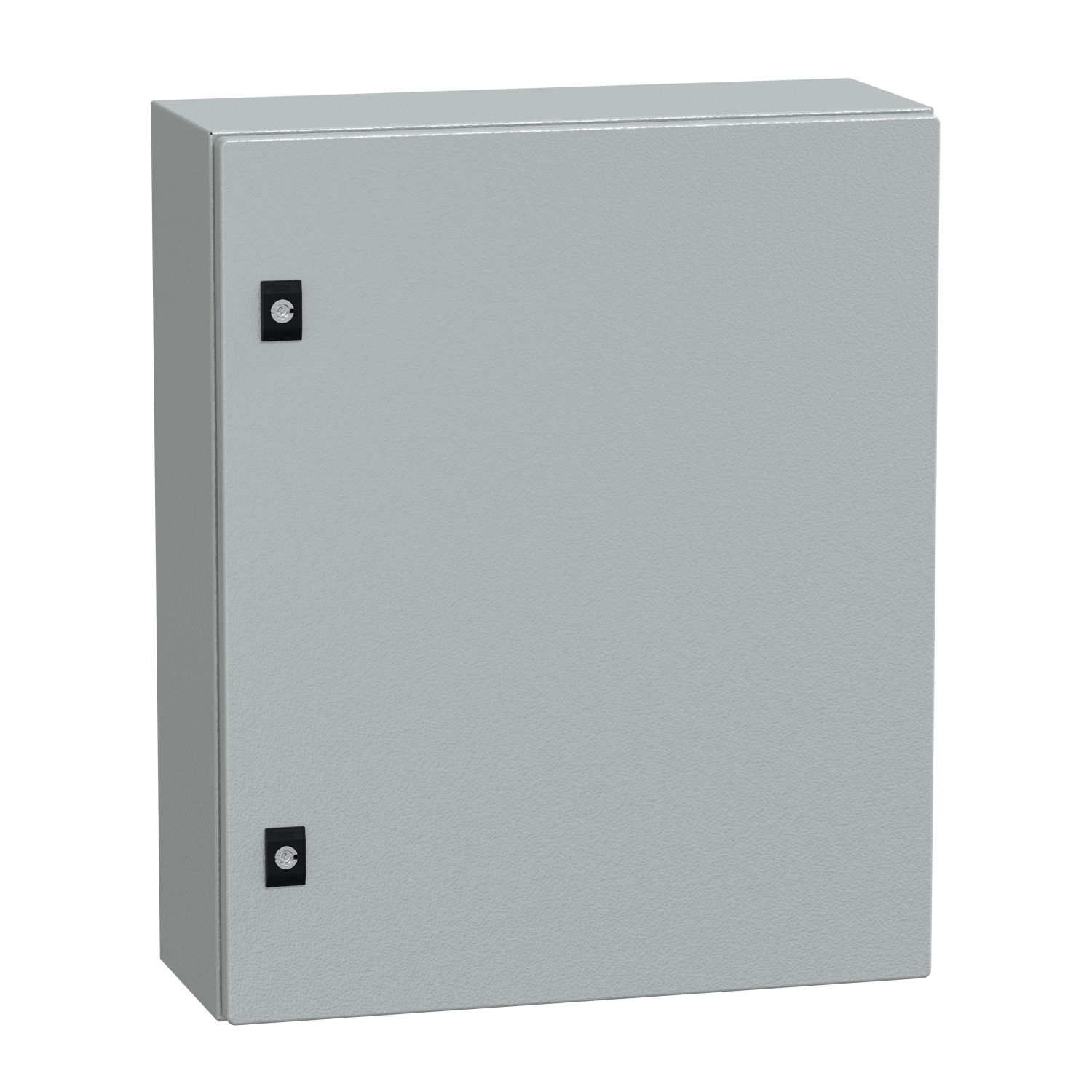 NSYCRN65200 | Spacial CRN plain door w/o mount.plate. H600xW500xD200 IP66 IK10 RAL7035.. 6 NSYCRN65200.jpg