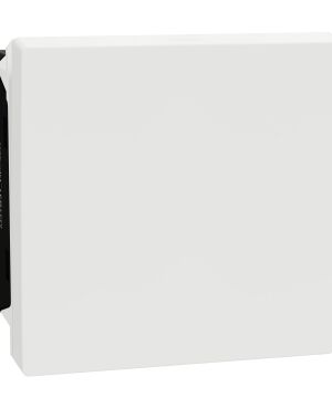 M3TB31_DP_32A | Disconnect Switch, Miluz E, 32AX, 250V, 2 Module, White